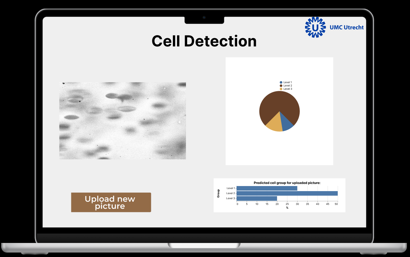Kategoriseringsresultat